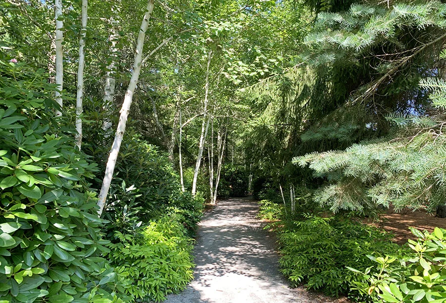 Mytoi: A Serene Island Garden — Enchanted Gardens